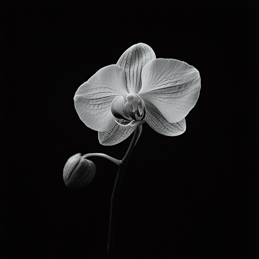 Radiant Blossom Harmony - ACH Studio