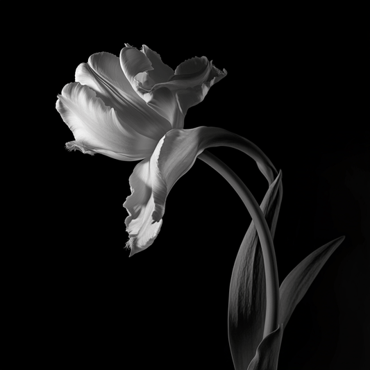 Serene Petal Glow - ACH Studio