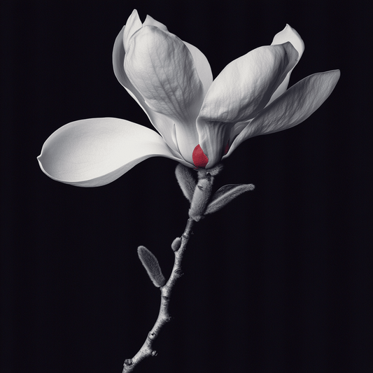 Tranquil Blossom Aura - ACH Studio